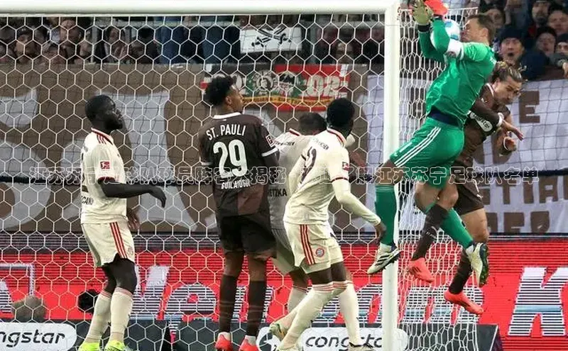 欧陆平台网站度小满理财江苏苏宁足球队球员阵容大揭秘 - 欢迎了解江苏苏宁足球队名单