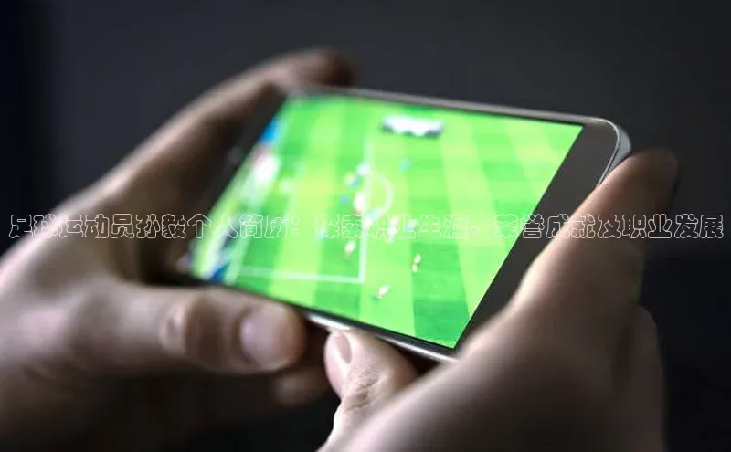 欧陆娱乐平台登陆地址百度集团足球运动员孙毅个人简历：探索职业生涯、荣誉成就及职业发展