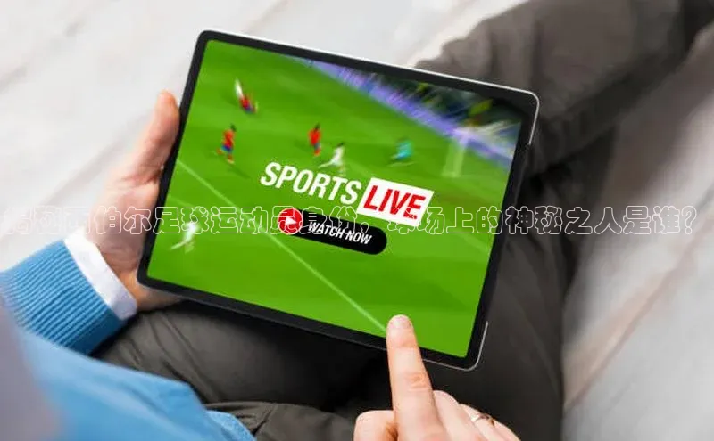 欧陆注册手机版百度数据开放平台揭秘西伯尔足球运动员身份，球场上的神秘之人是谁？