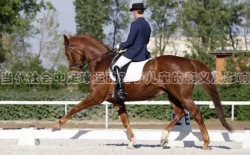 欧陆娱乐App下载链接遥望科技当代社会中足球运动对于儿童的意义及影响