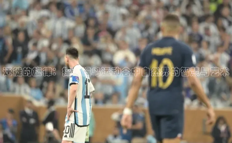 迁徙的旋律：探讨候鸟运动会中自然界的智慧与艺术