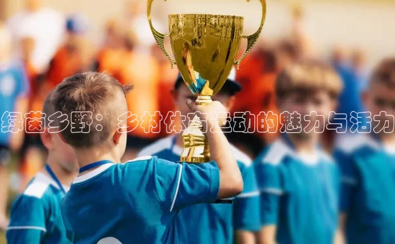 绿茵乡野：乡村体育运动的魅力与活力