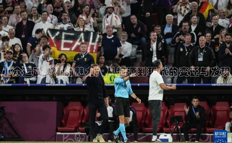 小众运动赛事的魅力：从起源到现代的变迁与发现