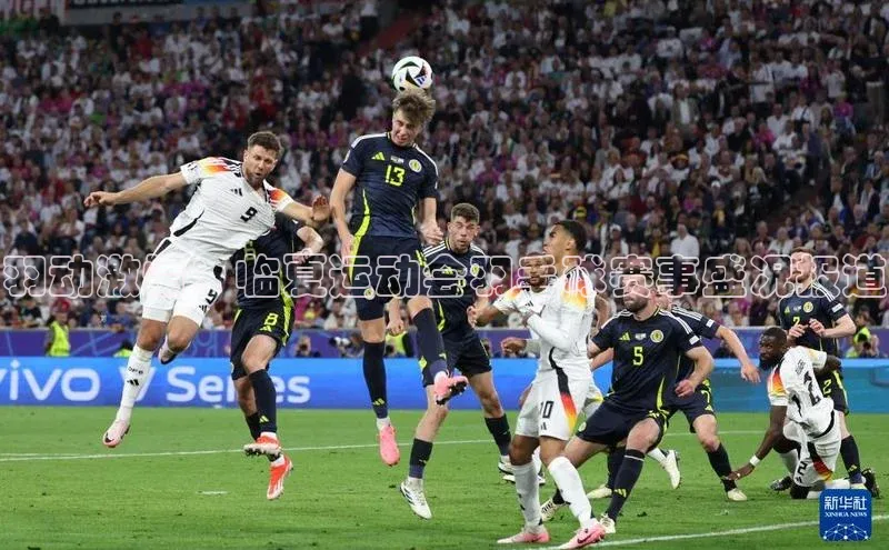 羽动激情：临夏运动会羽毛球赛事盛况报道