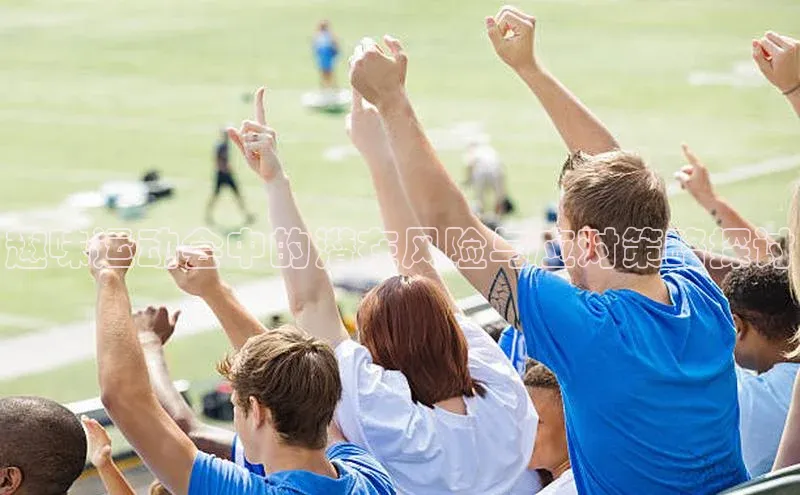 趣味运动会中的潜在风险与应对策略探讨