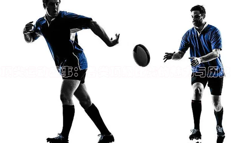 顶尖运动盛事：各类顶级比赛的魅力与历史