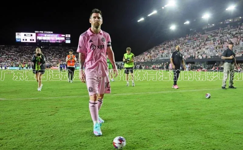 广东夏日运动盛宴：暑假体育活动的精彩时刻