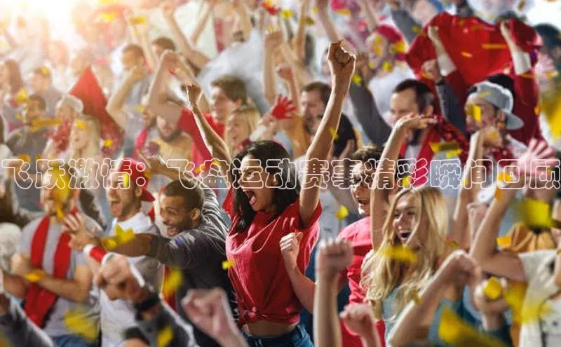 飞跃激情：飞盘运动赛事精彩瞬间回顾