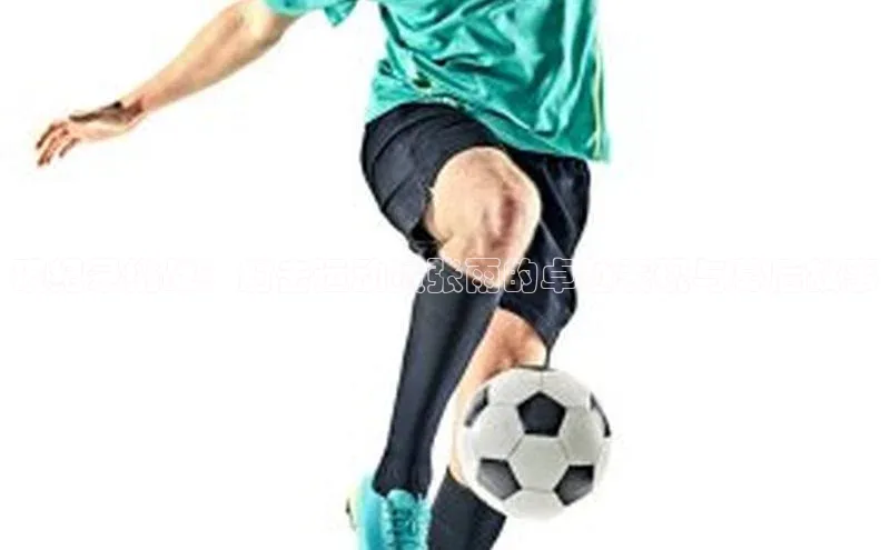 破纪录挑战：射击运动员张雨的卓越表现与幕后故事