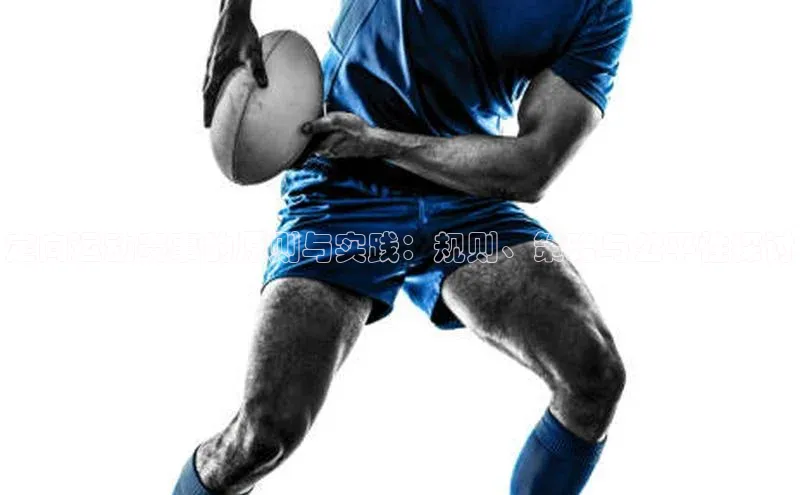 定向运动赛事的原则与实践：规则、策略与公平性探讨