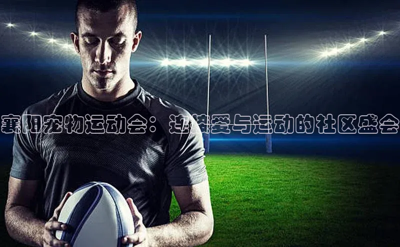 襄阳宠物运动会：连接爱与运动的社区盛会