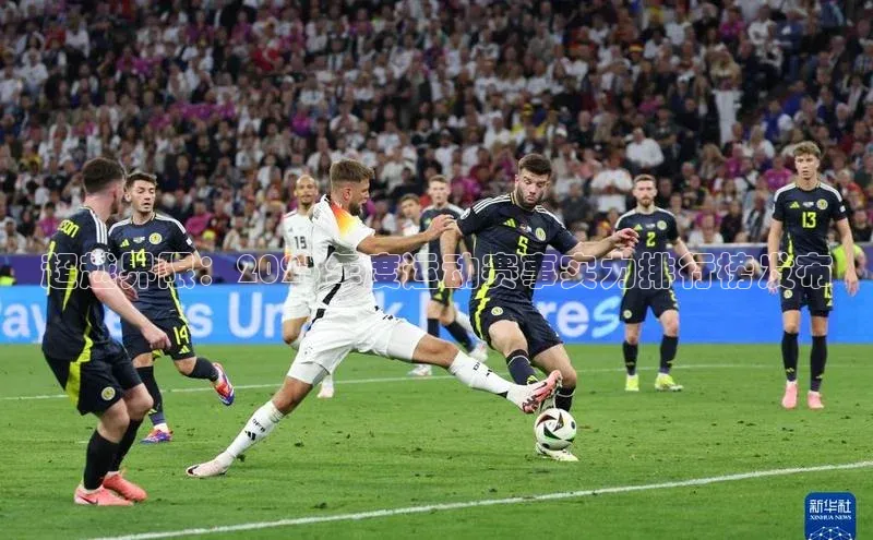 超越界限：2023年度运动赛事实力排行榜发布