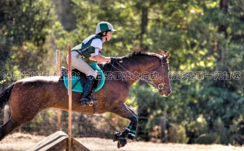 欧陆娱乐app下载